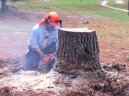 Chain Sawing