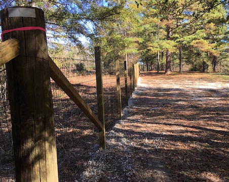 Property Line Fence