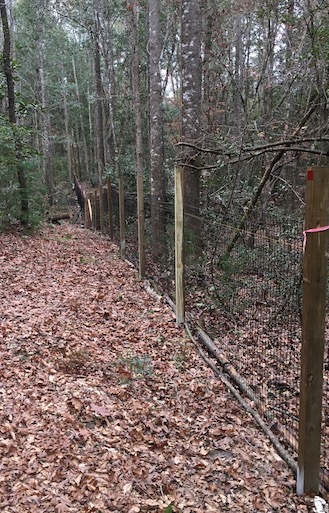 Property Line Fence S