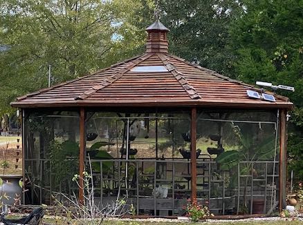 Gazebo
                Window