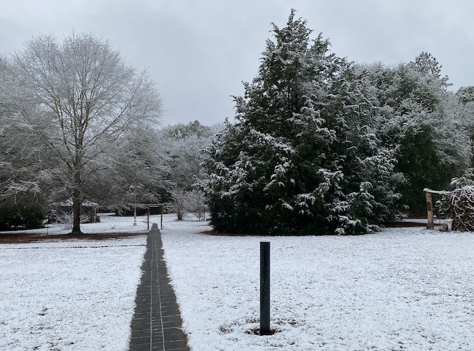Jan Snow